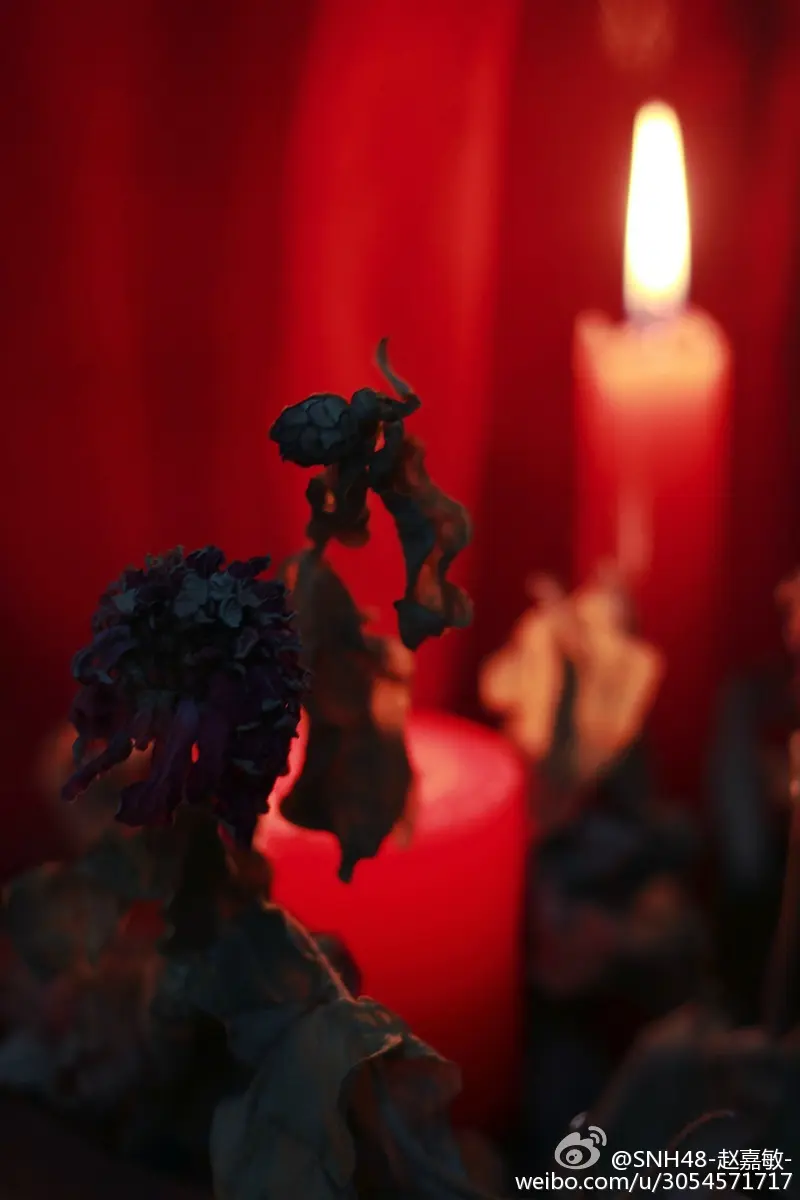 憋一直刷呀 浪费流量 我晚上发~2015-2-18愿在夜而为烛。 摄影师： @一泪痣一