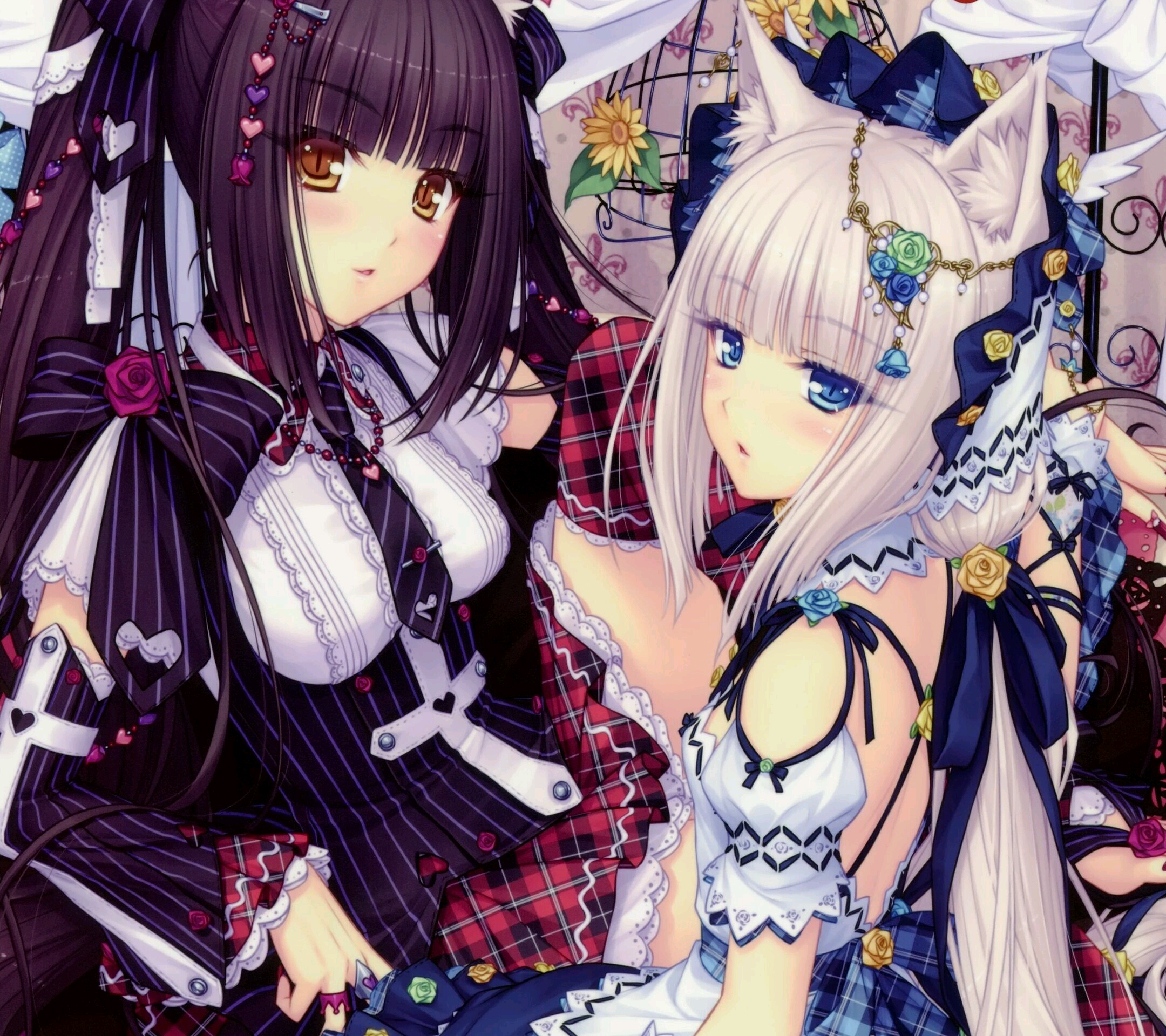 二刺螈巧克力与香子兰