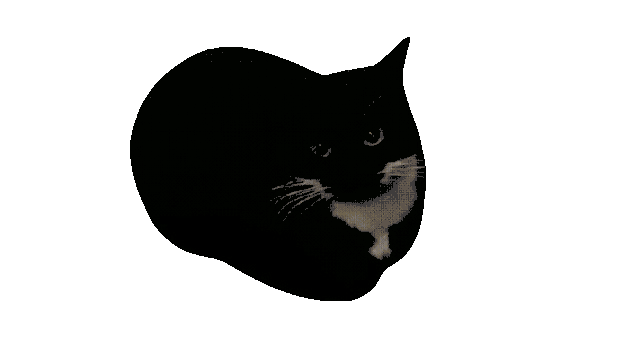 f583be09628f17b1bfbcfe8c68a4eee7261100c4.gif