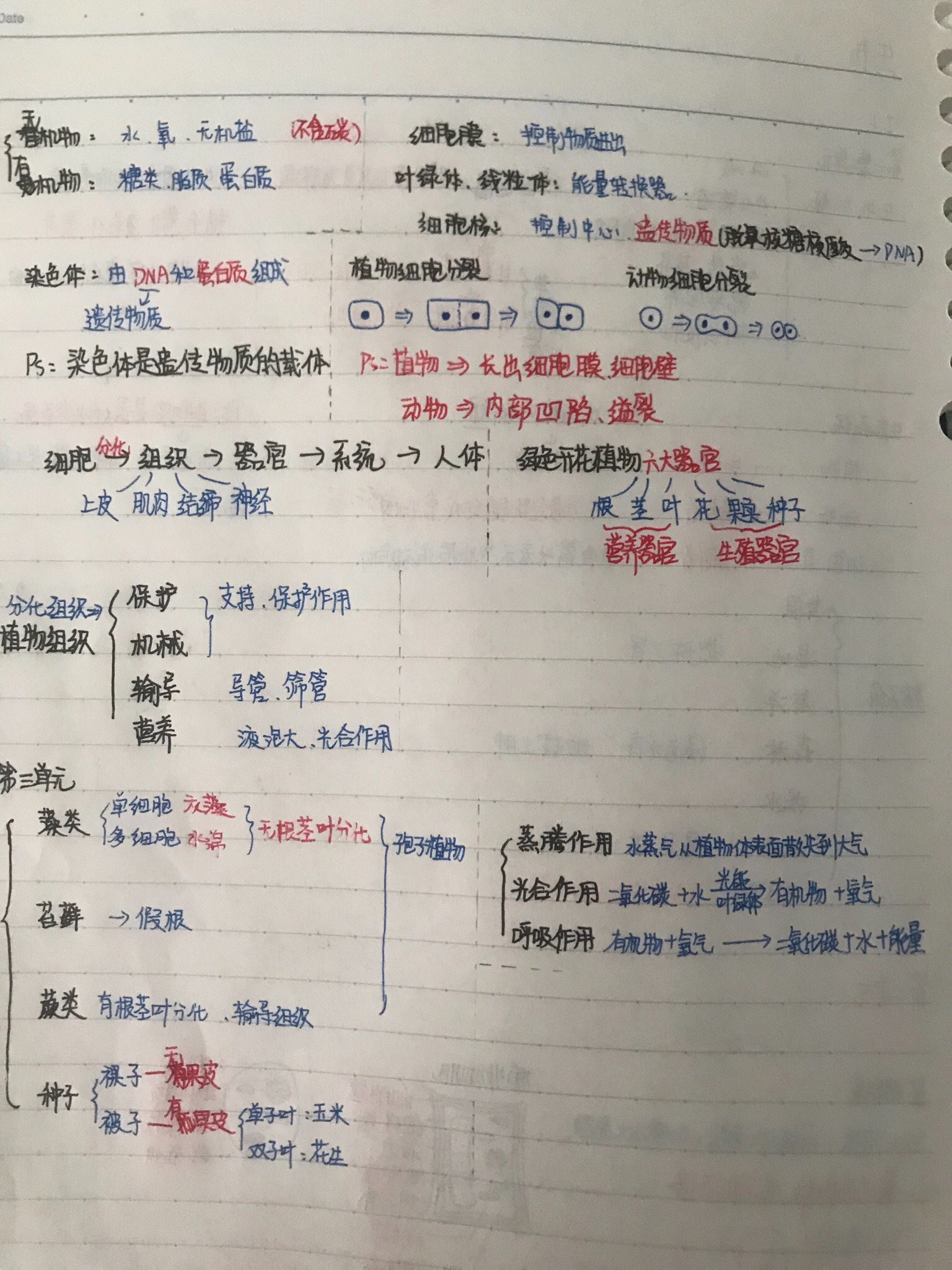 f5bc440c8f27318f23c632876d1183f6eed9ca01.jpg