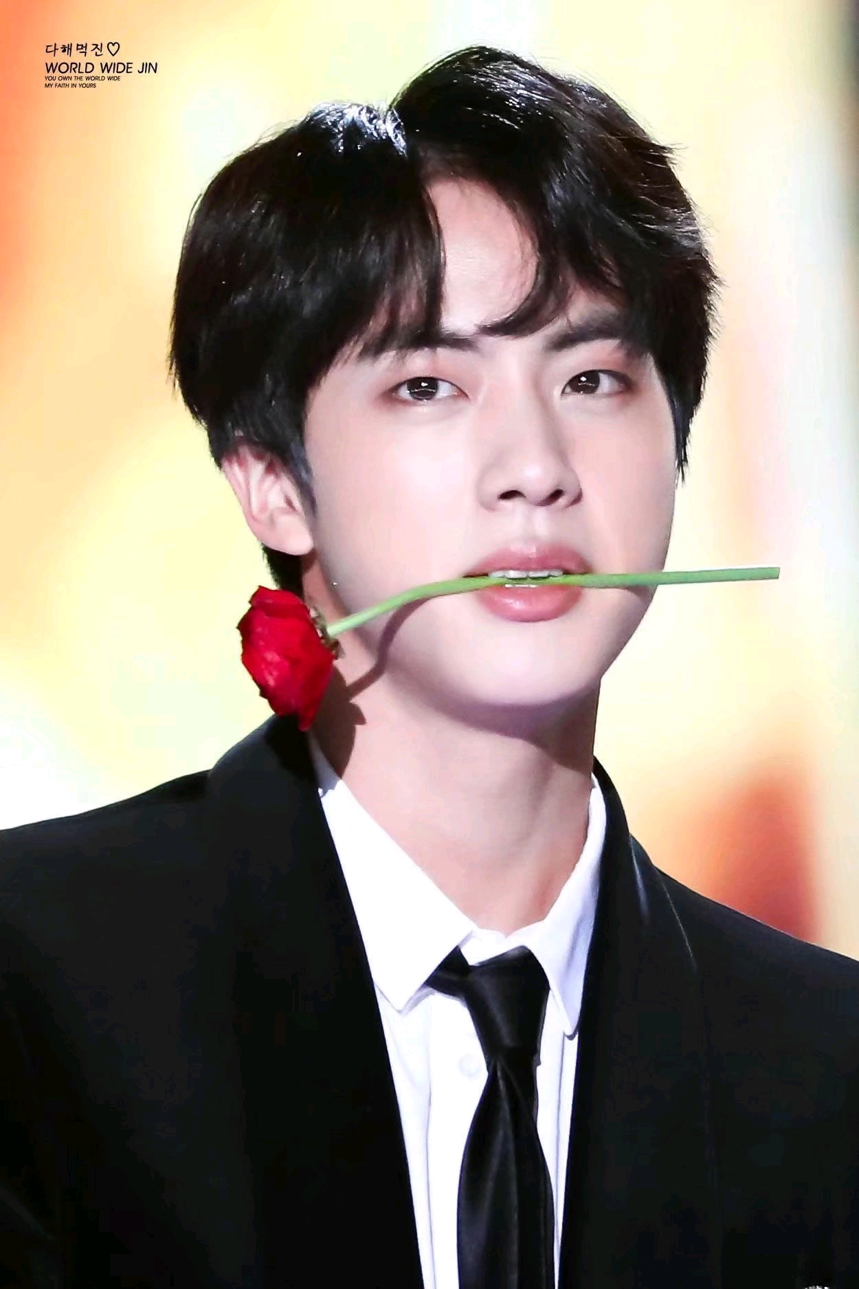 【bts 防弹少年团】金硕珍jin ——珍比花娇 超清手机