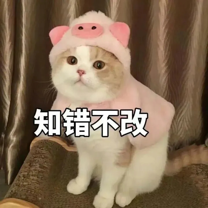 f5f4ac6e959bd7b0b6bcccd029eb553a2636c0d0.jpg