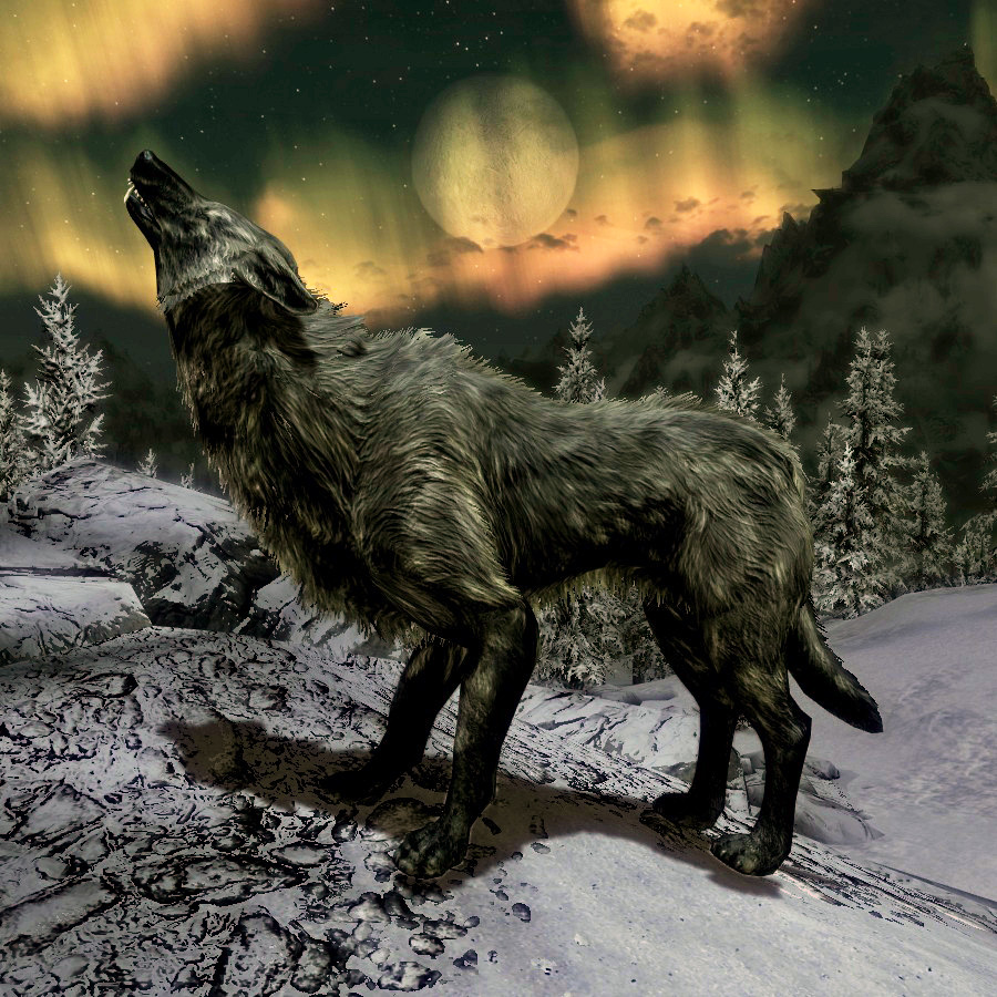 placeatme 9931a/首領狼wolf(alpha)/反擊neutral/《老滾5:天際》原