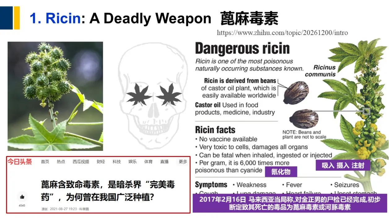 短短几天内丧命呢？让我们一起来认识蓖麻毒蛋白并揭开其致命之谜。目录