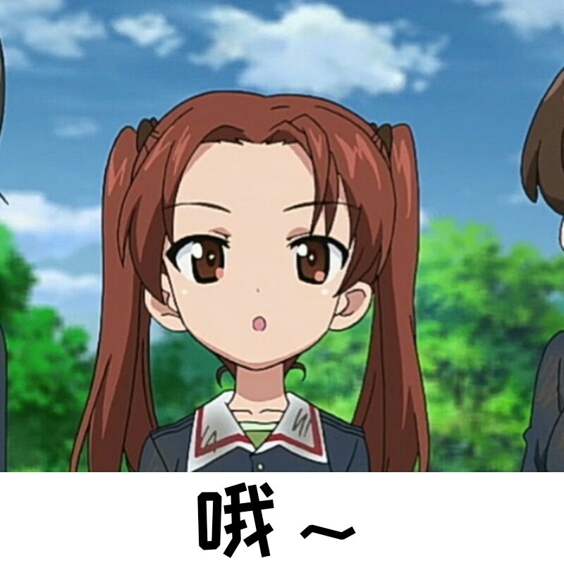 少女与战车表情包52th