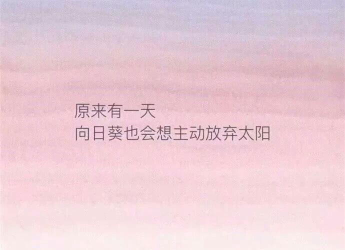再见,再也不见