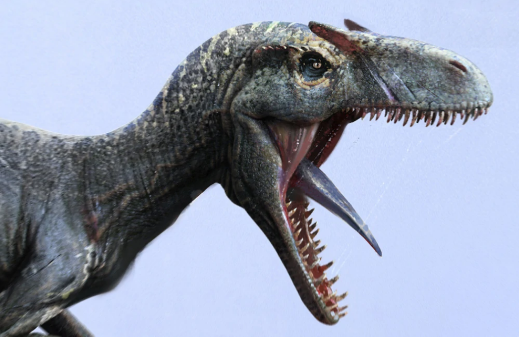 异特龙,一种凶猛和好斗的食肉性恐龙