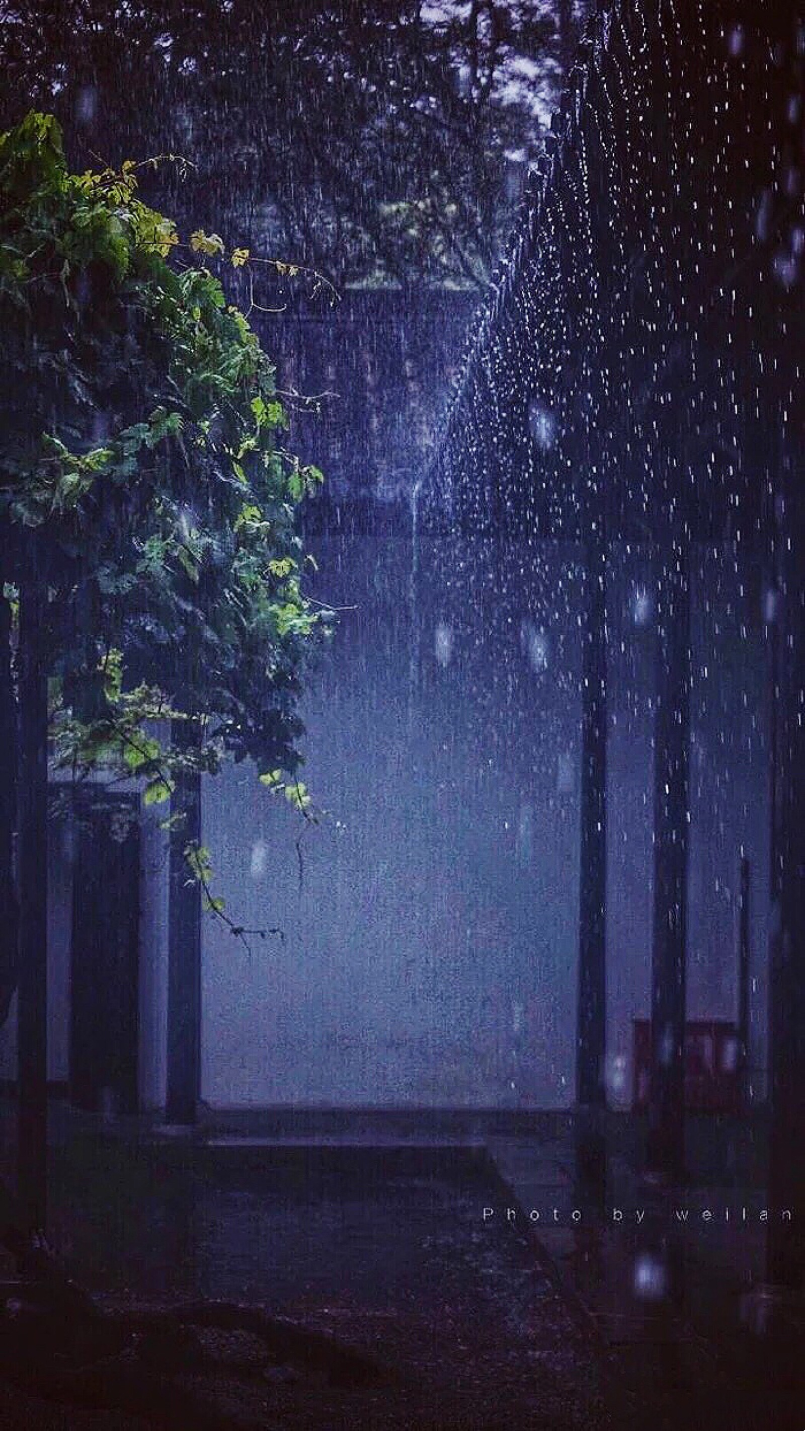 手机壁纸|下雨专题第14期 下雨的夜晚 by:伽码盐泽 2021年10月8日