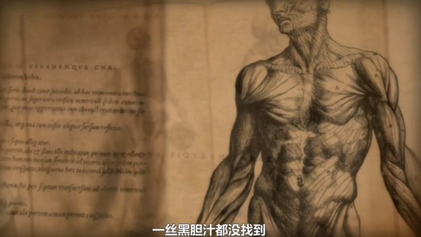 我逢人就安利,只因对你有利但事实上,黑胆汁是唯一肉眼无法得见的体液