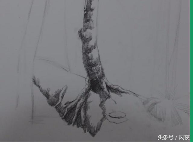 素描画风景,教你如何分辨画面的黑白灰,你学会了吗?