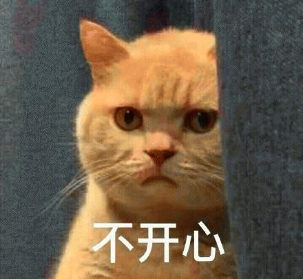 f80a3cac704dda4c65d7ee8a032b0c0d3b3ccf9f.jpg