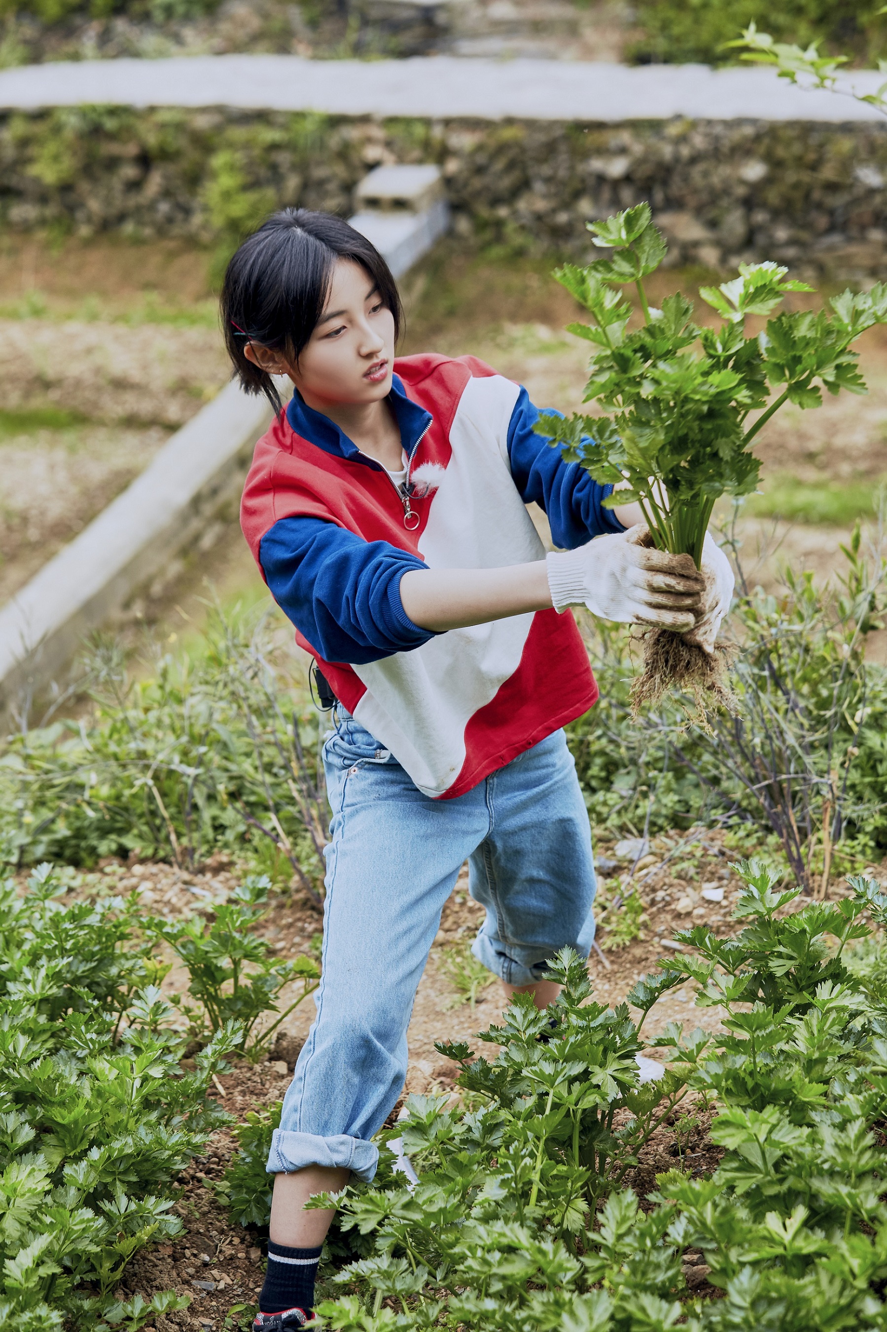 清新天然反差萌!张子枫《向往的生活3》获喜爱