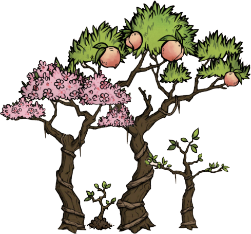 蟠桃树