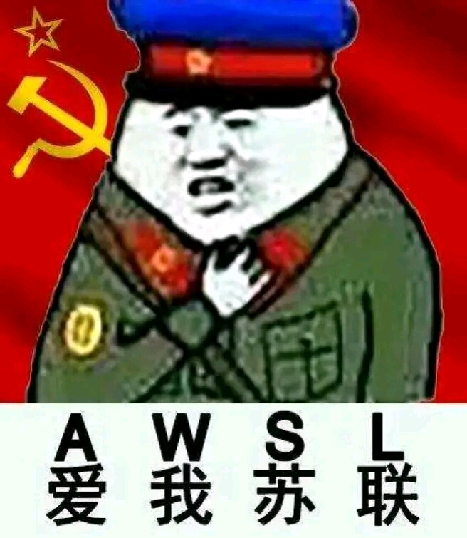 关于苏维埃的表情包#15 16 - 哔哩哔哩