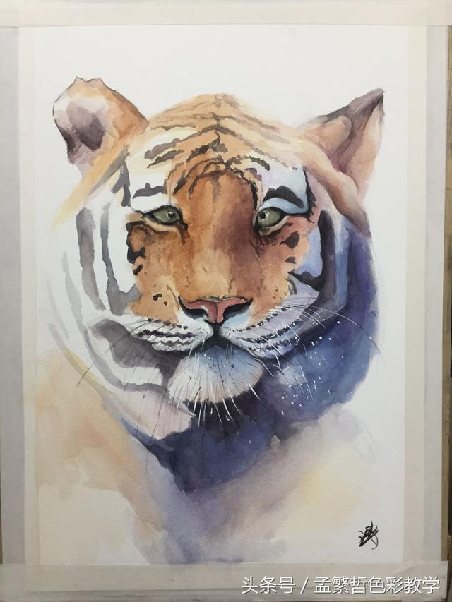 用水彩画老虎你见过吗?