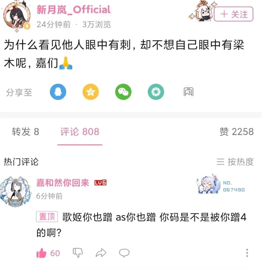 【bilibili】新月岚事件记录