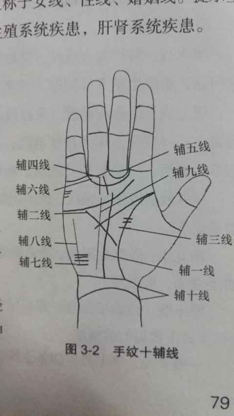 望手纹之十四线