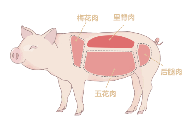动漫 卡通 漫画 头像 200_200 gif 动态图 动图