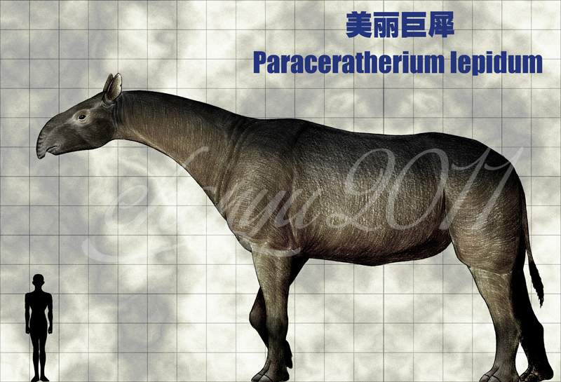 美丽巨犀复原图