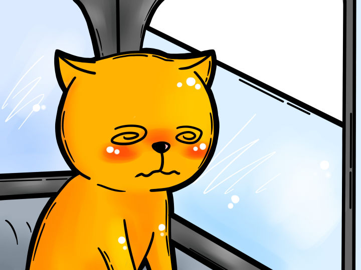猫的呕吐:你应该担心吗?一份猫呕吐的详细指南