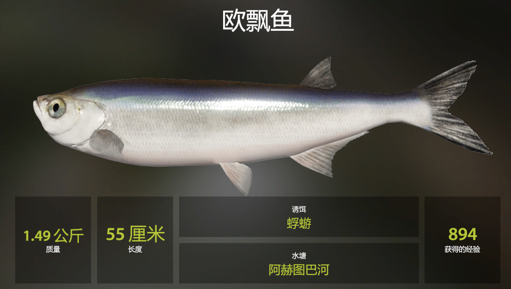 俄罗斯钓鱼4 28图阿赫图巴河手竿鱼钓点