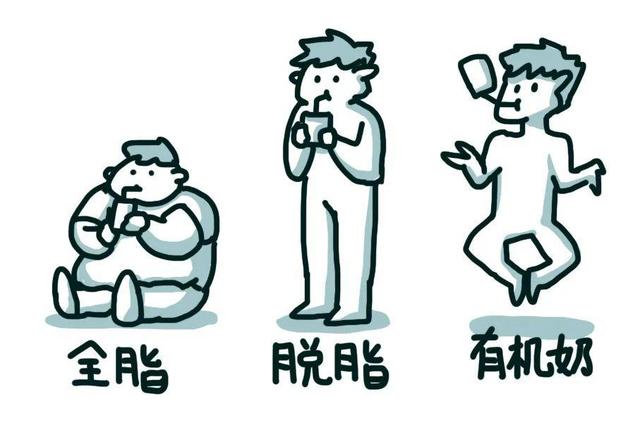 问题1：全脂、脱脂、有机奶分别指的是什么？