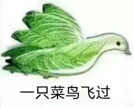 表情包 | 杂七杂八斗图精选(含动图)
