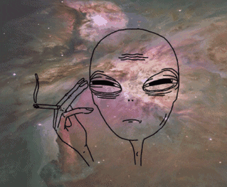 可可爱爱骑脚踏车?