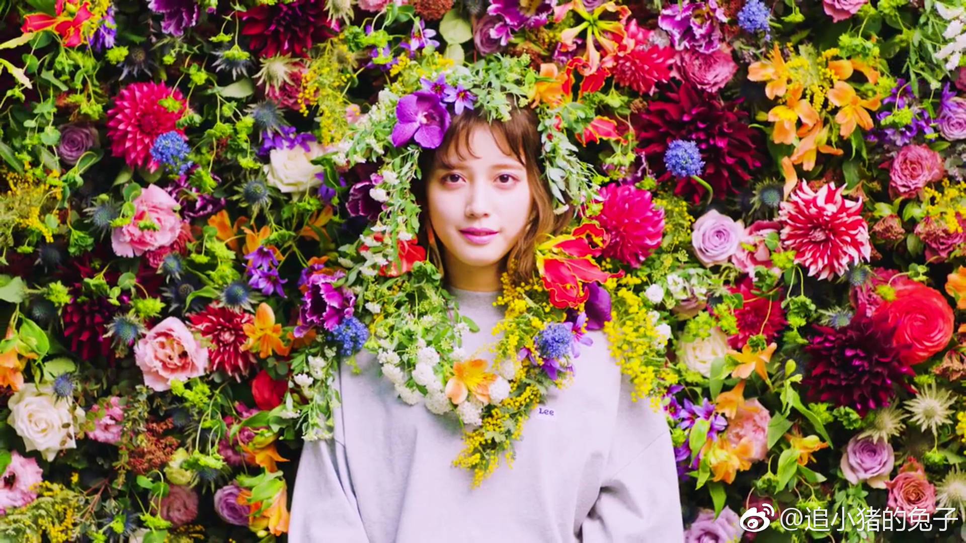 邻家女孩之松田瑠华
