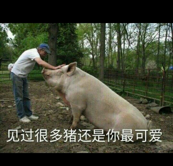 搞笑动态斗图表情包笑死人,搞笑动态斗图表情包笑死人图片