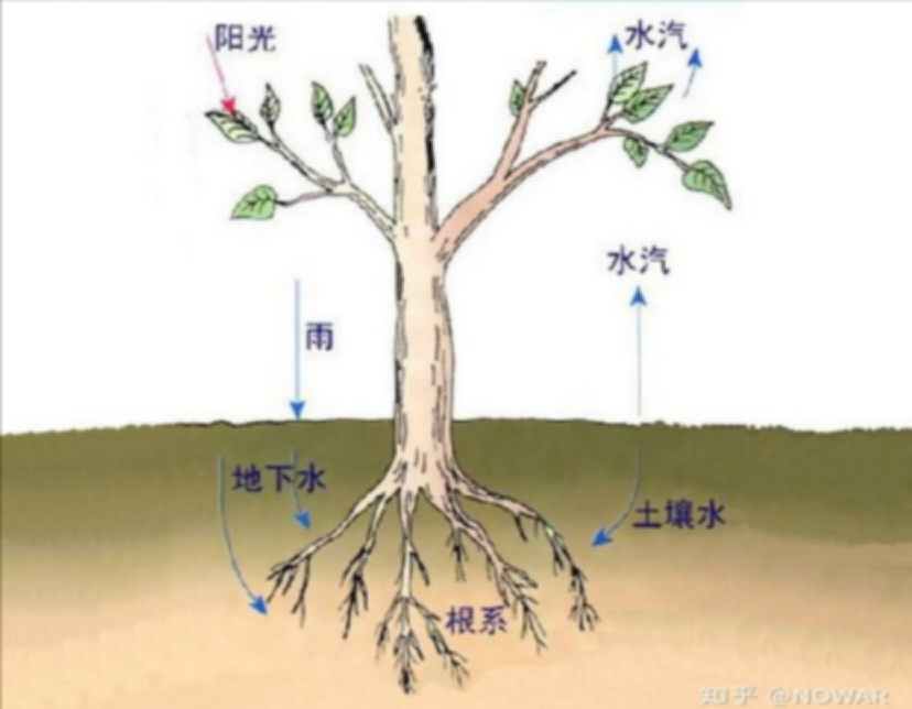 在我国水土流失是一个长期性的且尚未得到有效改善的问题.