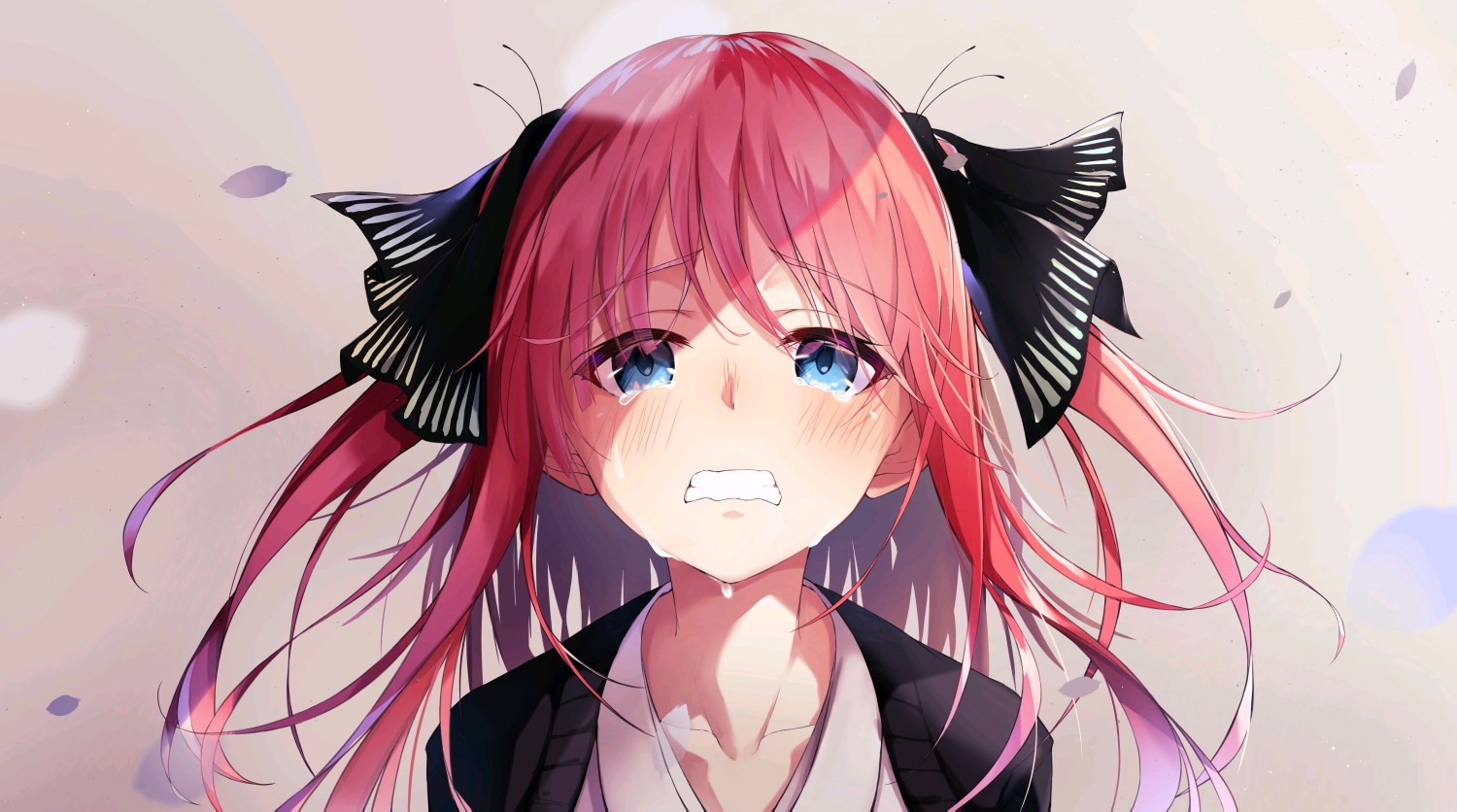 五等分的花嫁图片