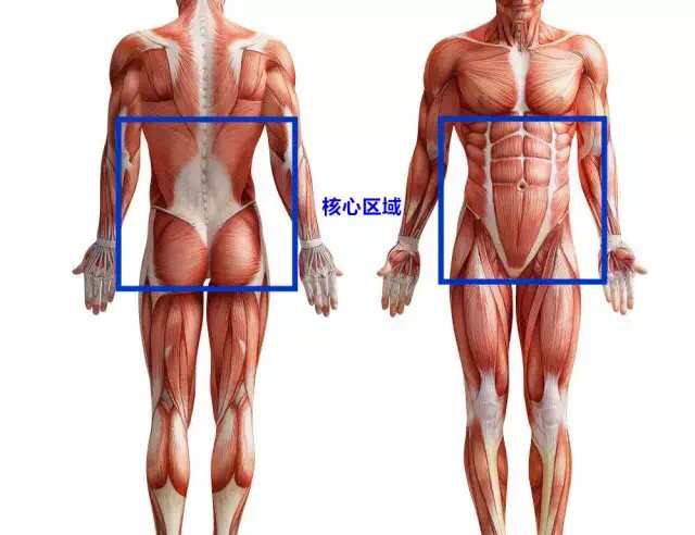 fc2e0e661a1eda346776419a4b1198eb4dceebe8.jpg