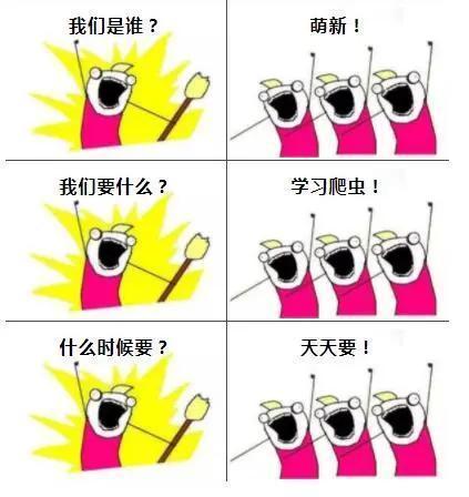 新手怎么摘日抛,如何摘日抛