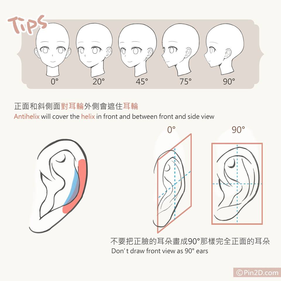 超详尽耳朵画法指导,附赠精灵耳教学!|电绘狂教程第5回