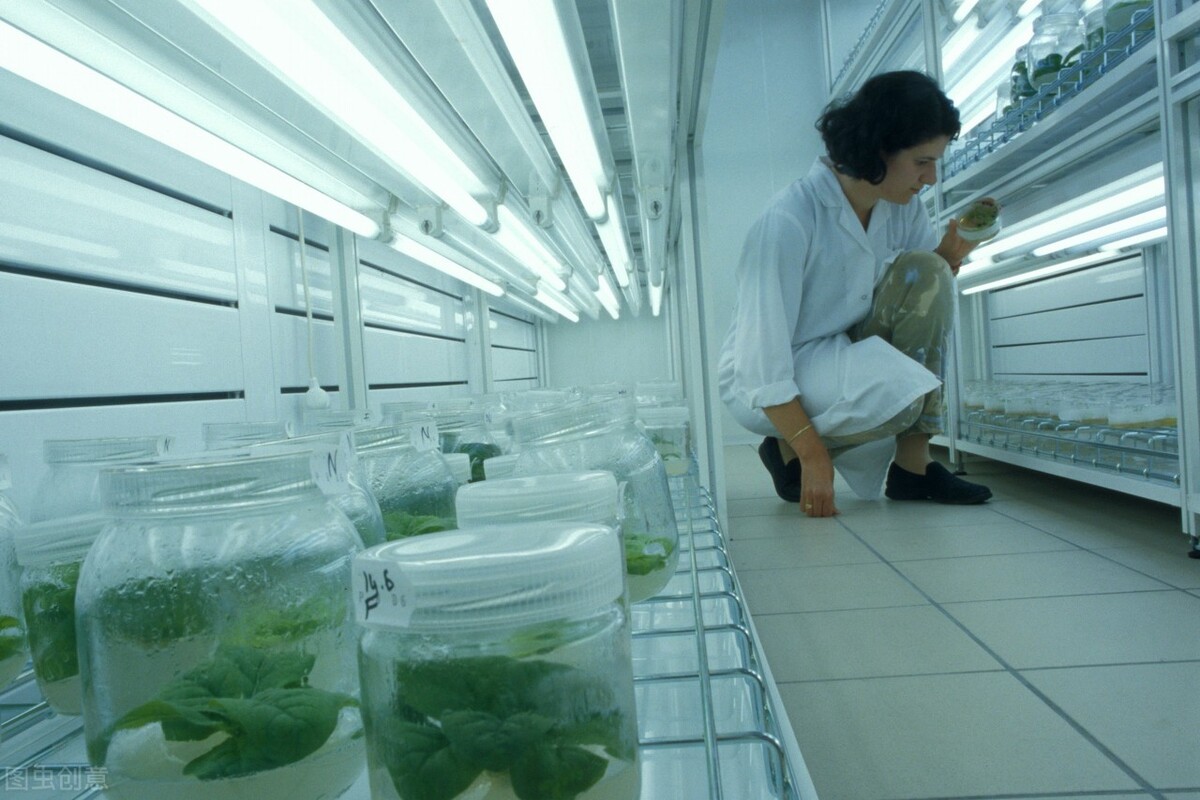 考中烟工业还是考烟草公司,两者区别及待遇解析