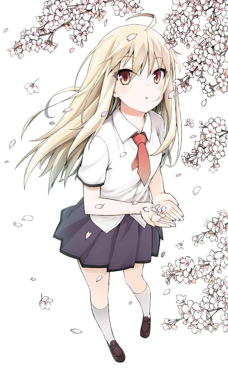 樱花庄的宠物女孩壁纸第一期
