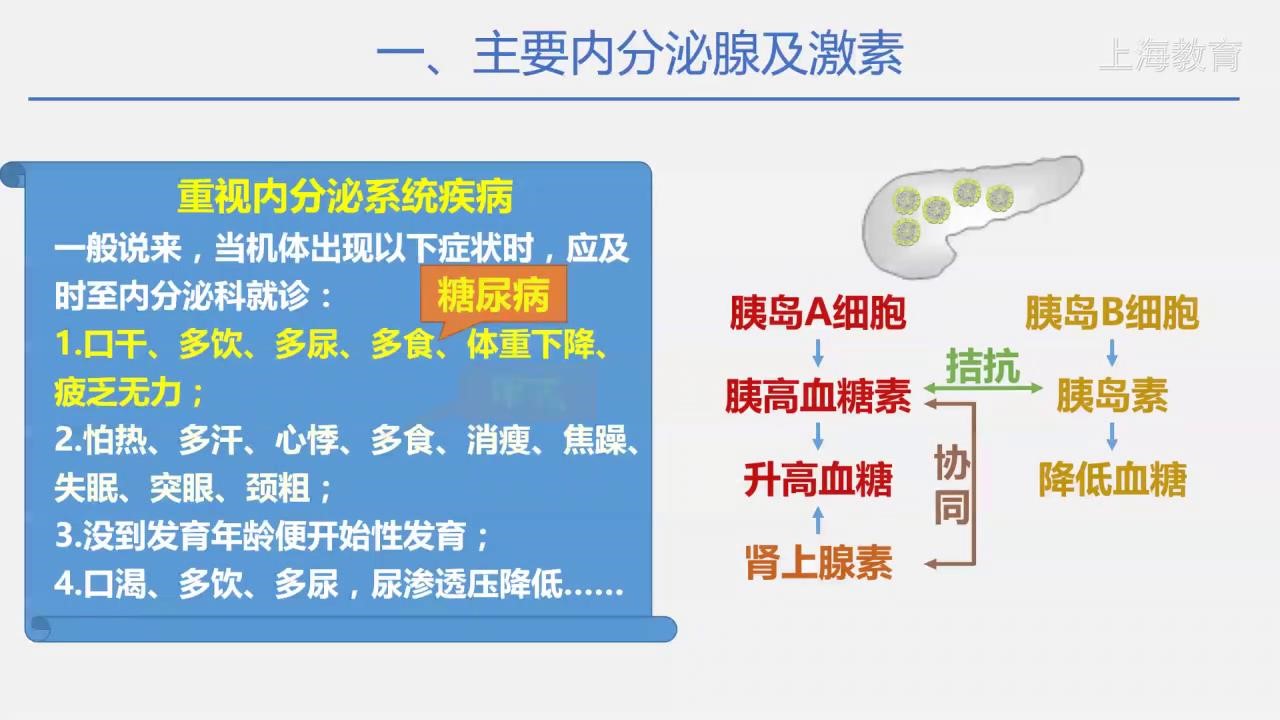 fc8d329bacec4c772bddaa6b1b7415c8304eaba9.jpg
