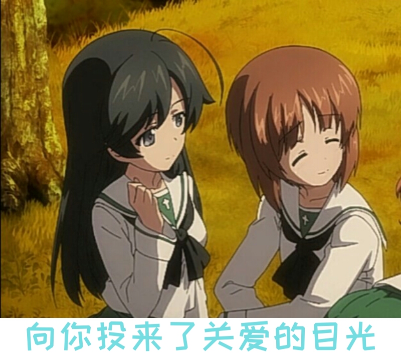 少女与战车〕表情包143th