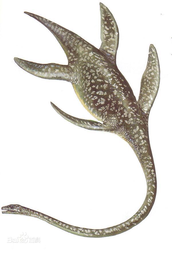 蛇颈龙兽 プレシオモン plesiomon