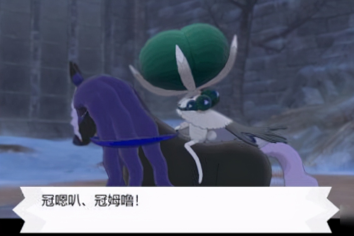 no.4 蕾冠王