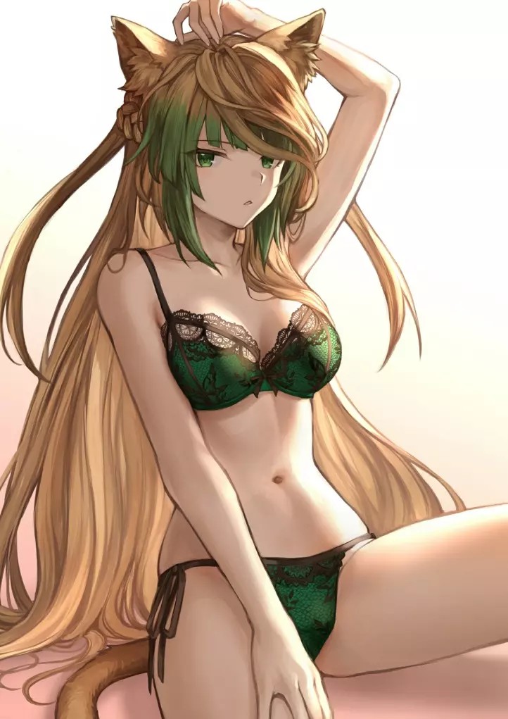 fgo 阿塔兰忒超清美图(第一期)