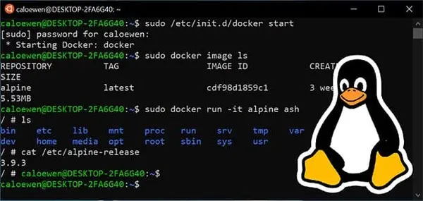 什么是Dispatch Linux？它有何独特之处？