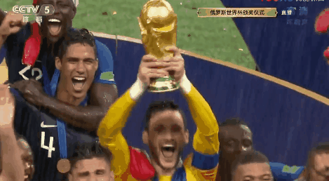 伴随了全世界球迷一个月的世界杯足球盛宴落下了帷幕,在最后的决赛中