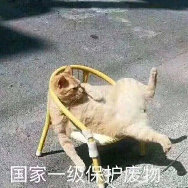表情包合集动物篇