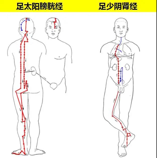 林医生教你:拍打人体八虚,祛除五脏之邪!