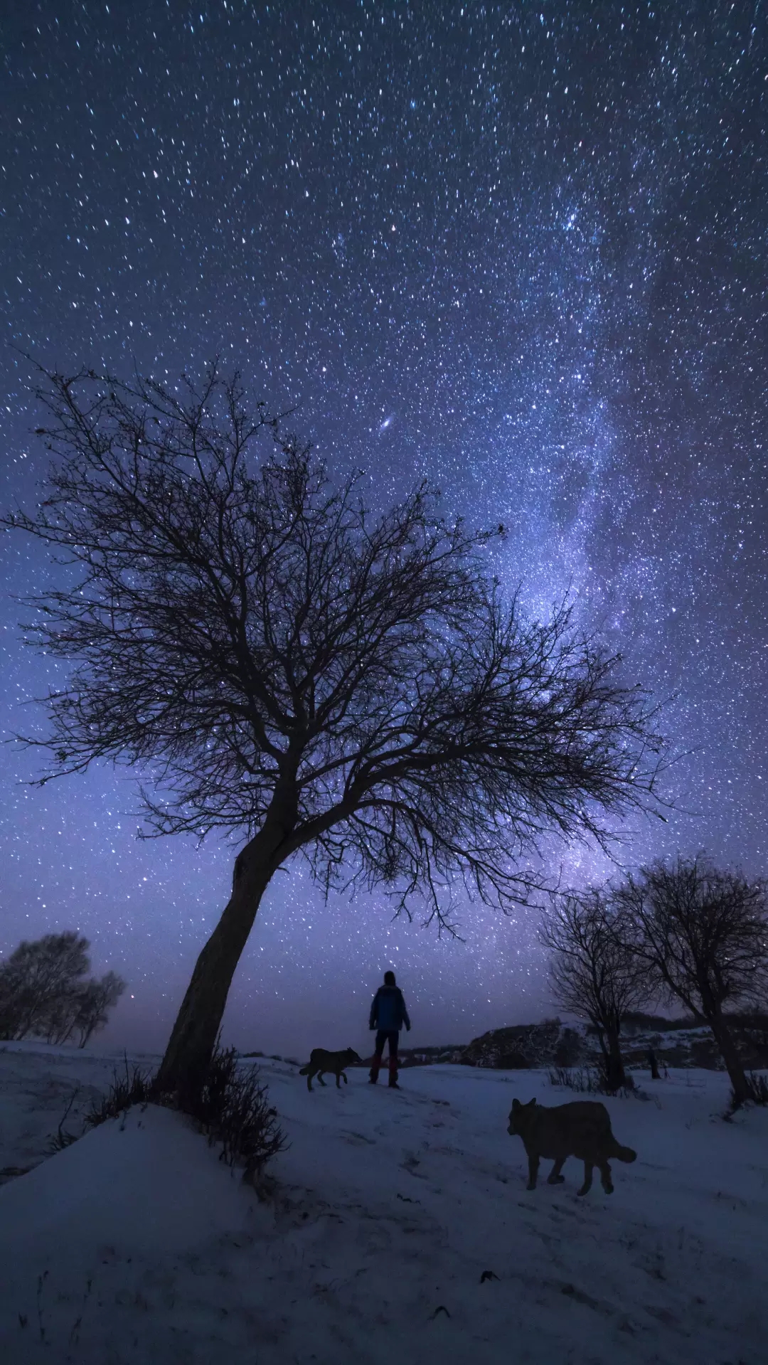 特辑少女前线人绘15星空星辰专辑登场最美星空送给在无尽黑暗中寻找