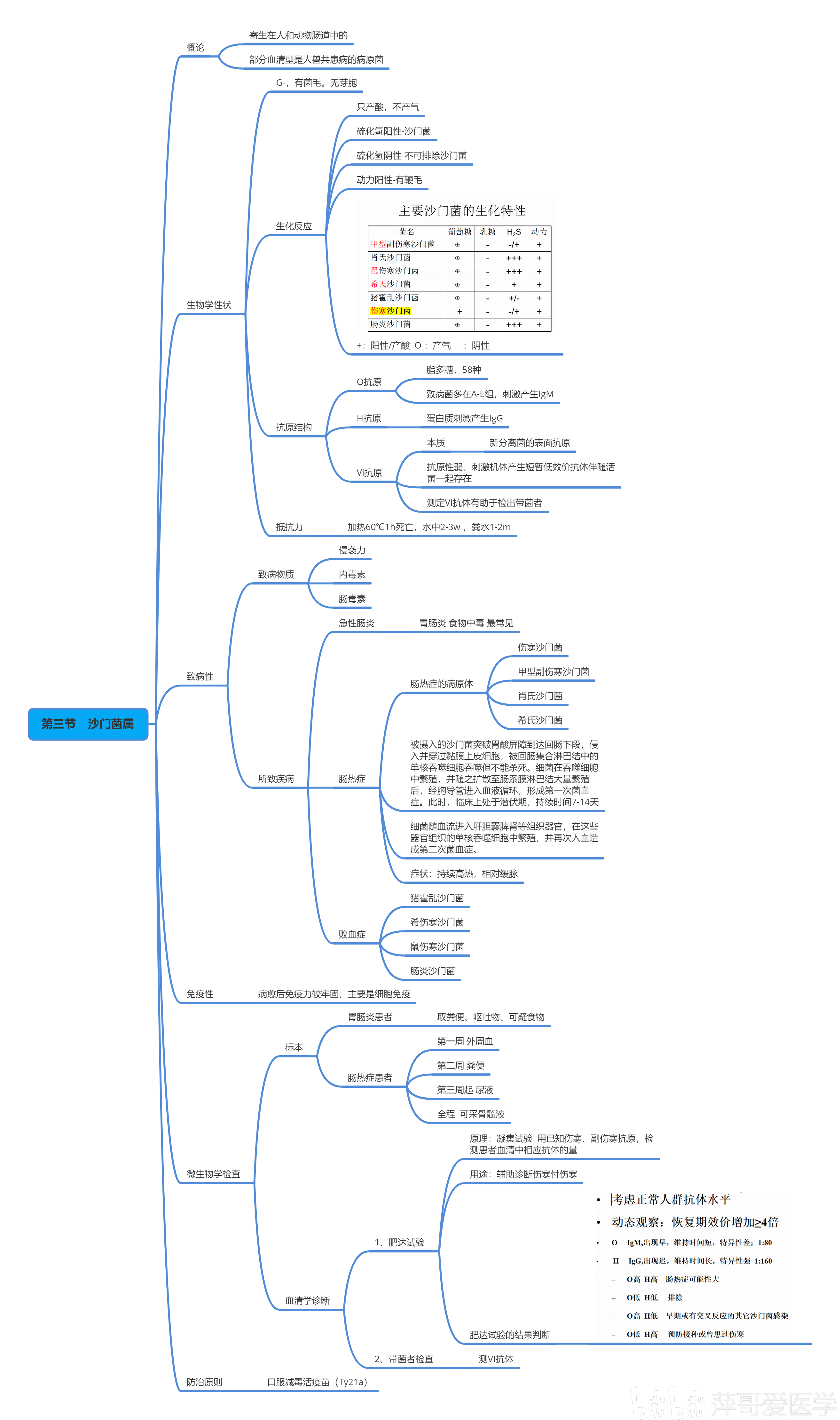 医学微生物学思维导图四【萍哥原创】20200628更新-第