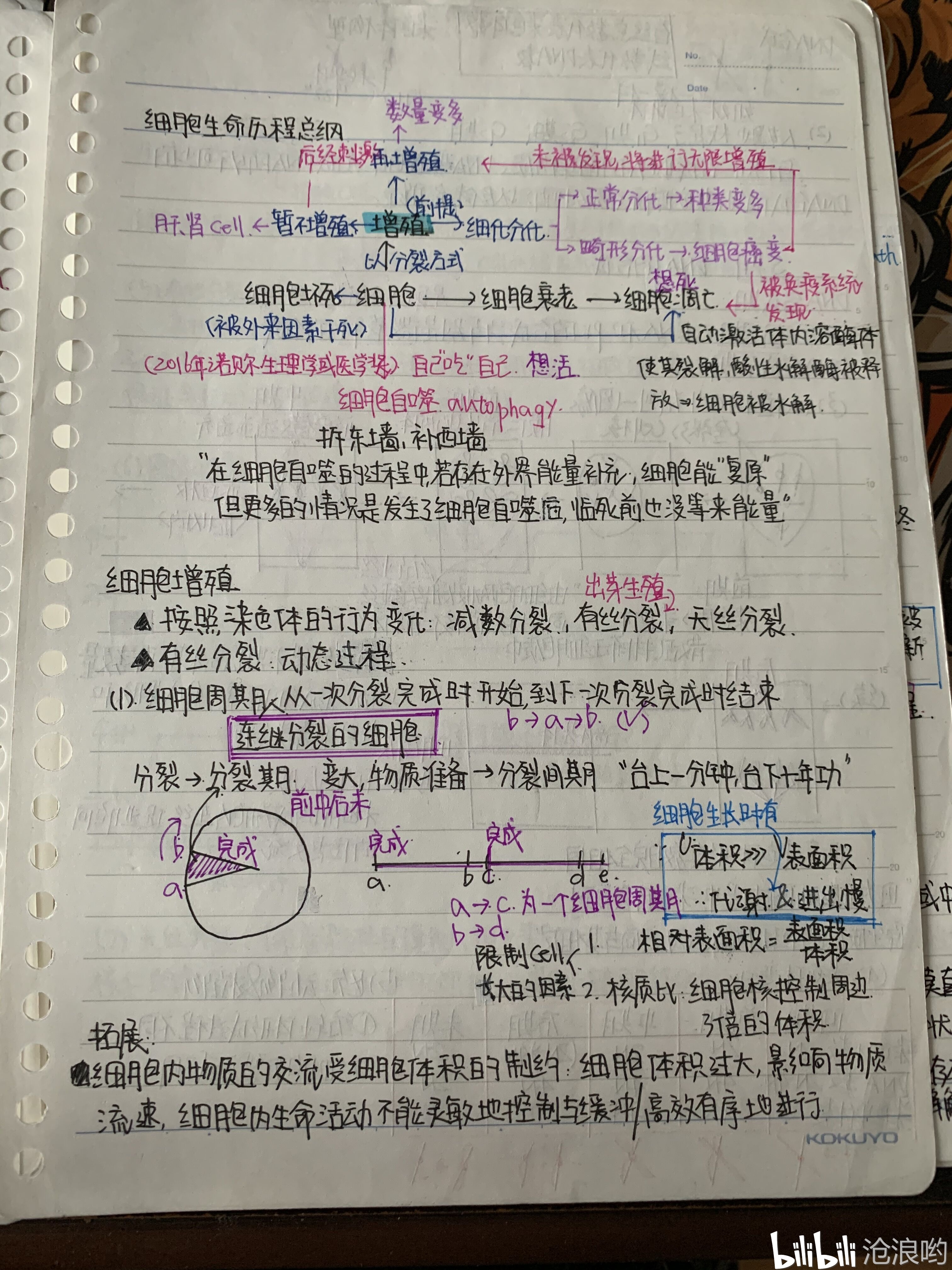 高考生物//必修一最全手写笔记总结