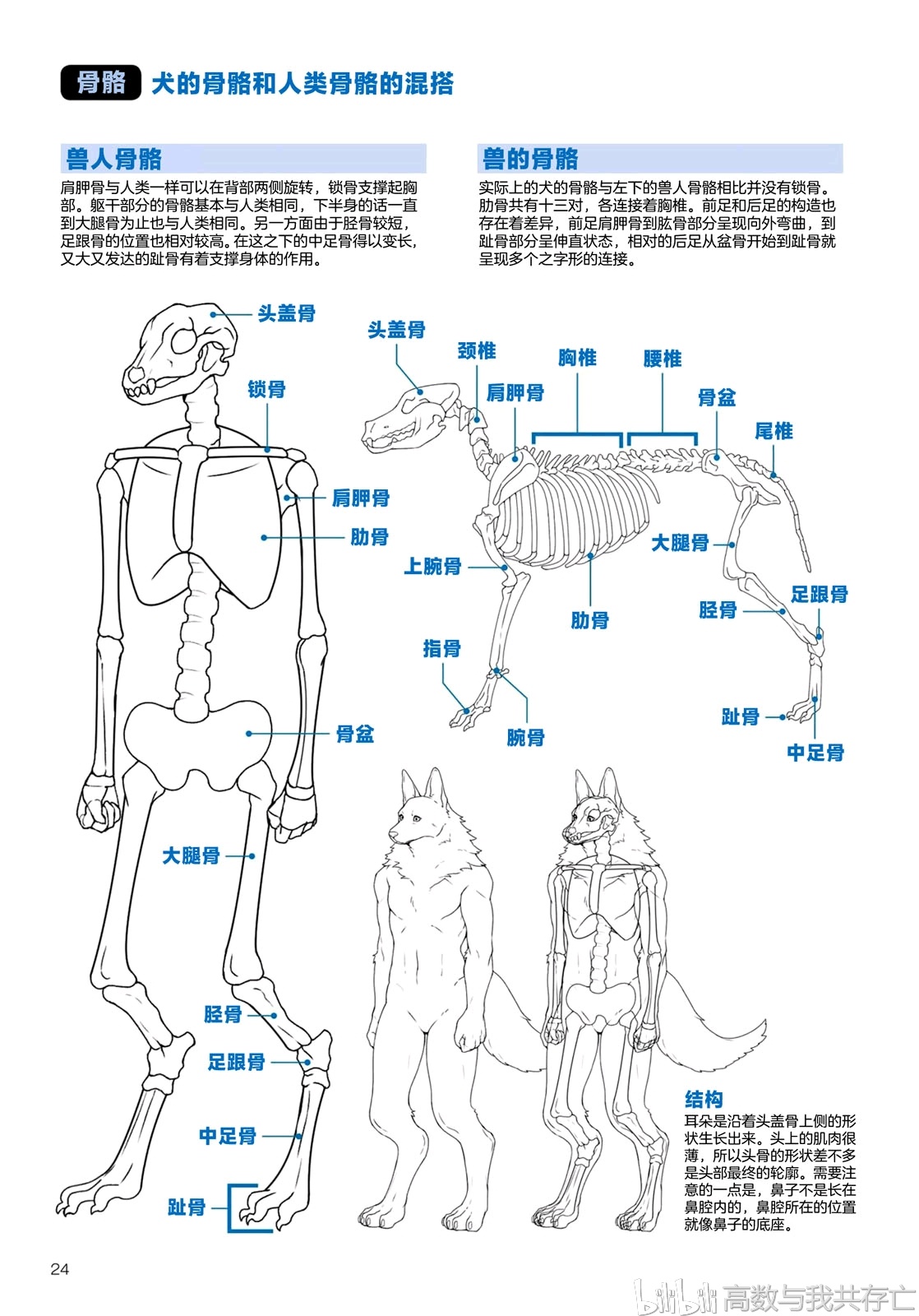 兽人画法2